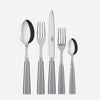 5 Piece Place Setting - Icone