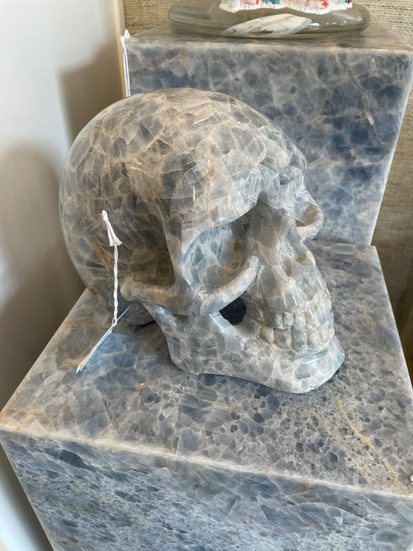 Skull