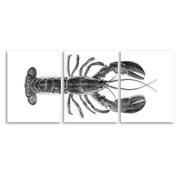 Maine Lobster 24X31