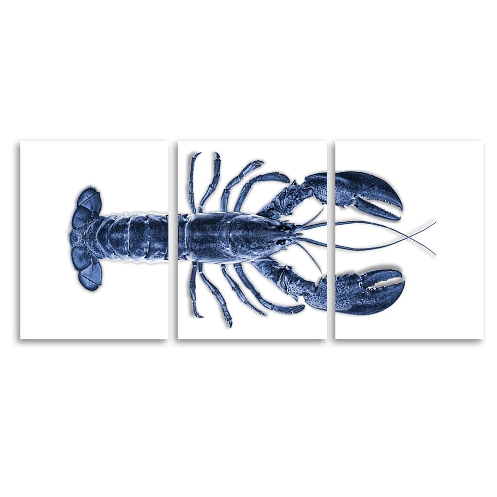 Maine Lobster (Blue) 24X31