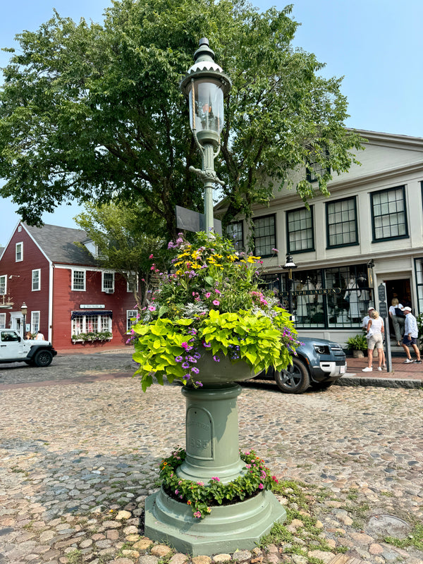 Main Street Fountain Limoges Box 2026