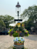Main Street Fountain Limoges Box 2026