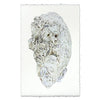Oyster Shell