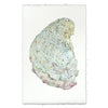 Oyster Shell