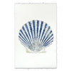 Scallop Shell