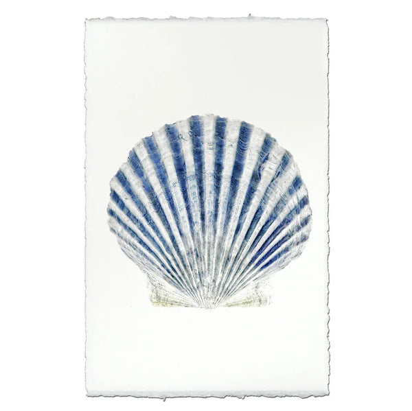 Scallop Shell