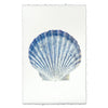 Scallop Shell