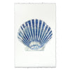 Scallop Shell