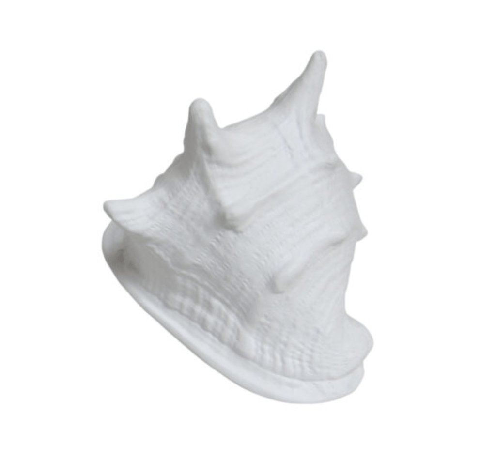 Porcelain Shell