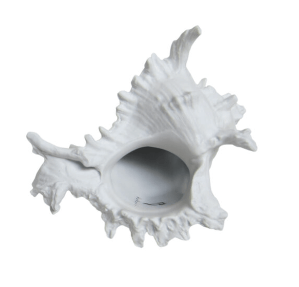 Porcelain Shell