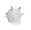 Porcelain Shell