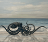 XL Octopus
