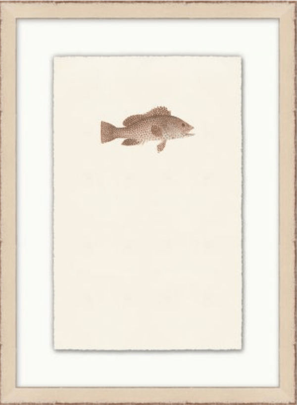 Petite Fish
