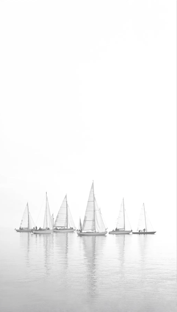 Out of the Mist- 32x52
