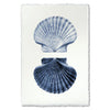 Scallop Shell