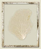 Metallic Gold Sea Fan
