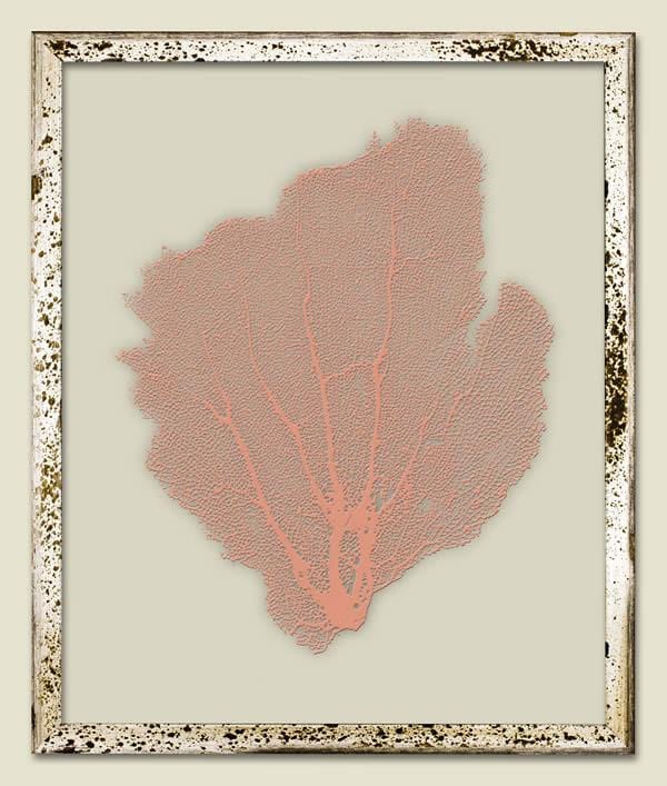 Salmon Sea Fan