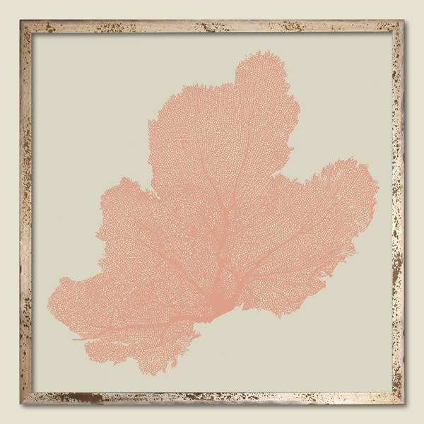 Salmon Sea Fan