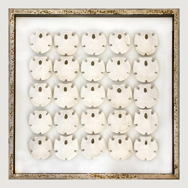 Framed Key Hole Sand Dollars