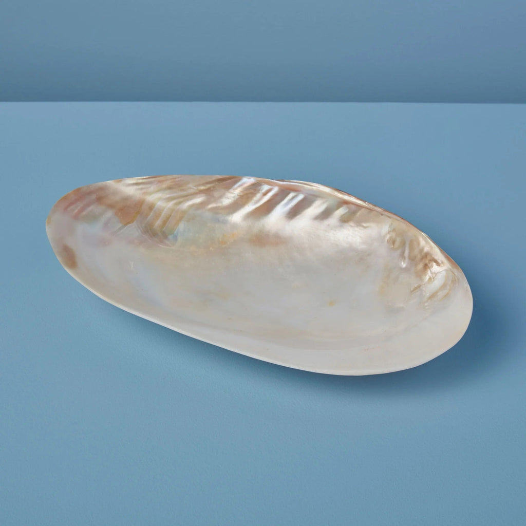 Seashell Dish