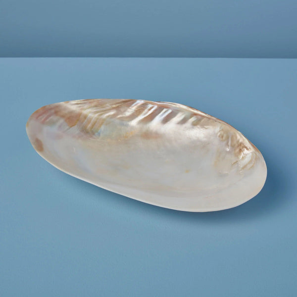 Seashell Dish