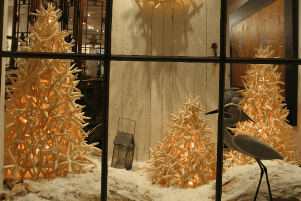 Starfish Tree