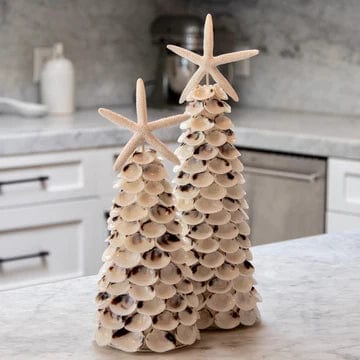White Clam Tree
