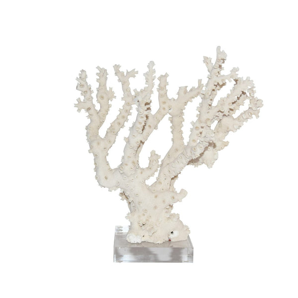 Coral on Acrylic Base