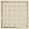 Framed Knobby Starfish