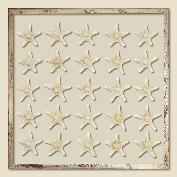 Framed Knobby Starfish